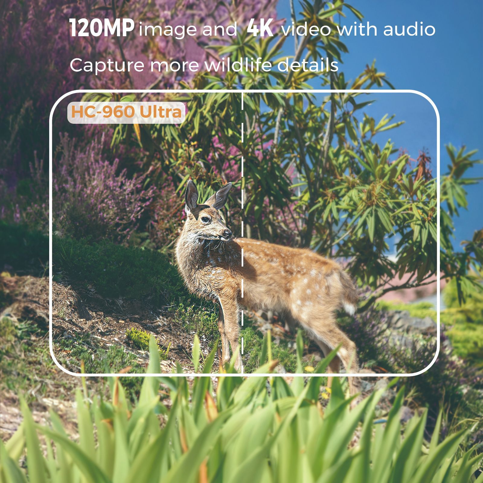 Kamera Inframerah Penglihatan  - Hunting Outdoor Camera ulasan dan harga